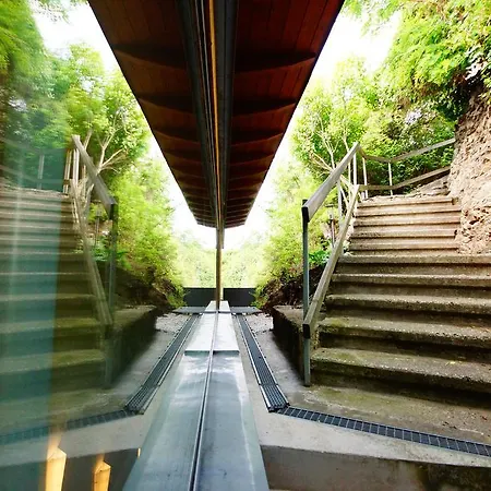 줌 골데넨 엥겔 - 팜. 에런라이히 3*