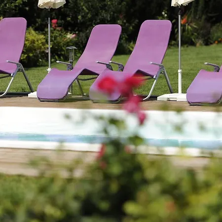 호텔 줌 골데넨 엥겔 - 팜. 에런라이히 크렘스안더다노